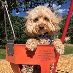 Meet your Posher, Vera